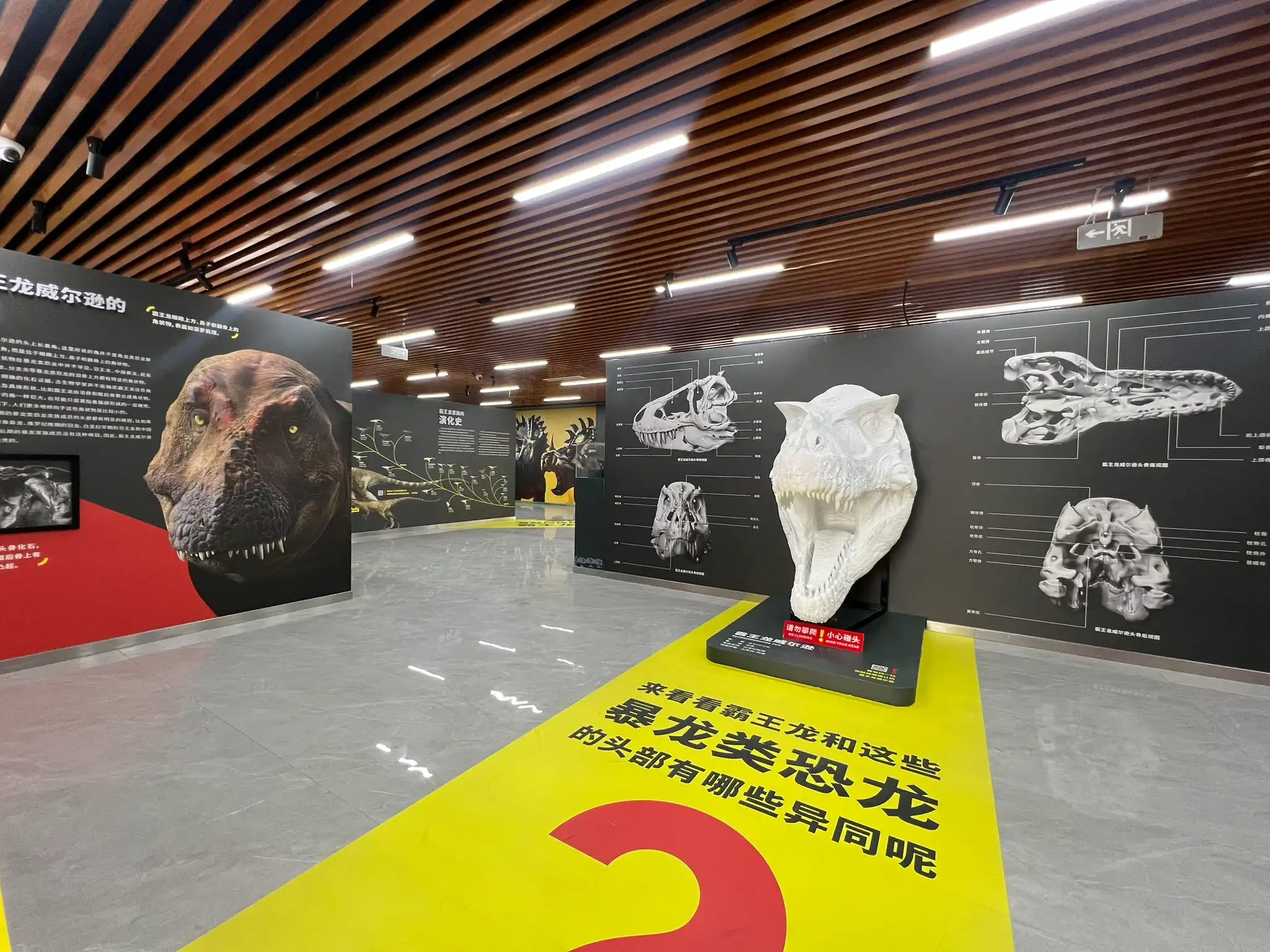 章丘鲁能公馆恐龙展